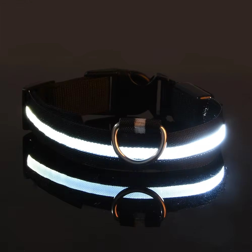 LED Glow Dog Collar – Flashing, Safe & Stylish