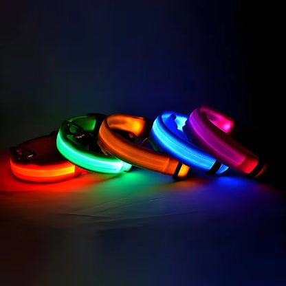 LED Glow Dog Collar – Flashing, Safe & Stylish