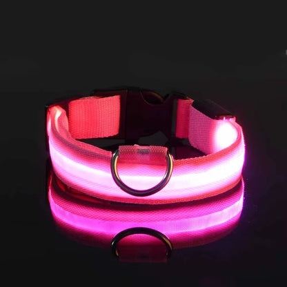 LED Glow Dog Collar – Flashing, Safe & Stylish