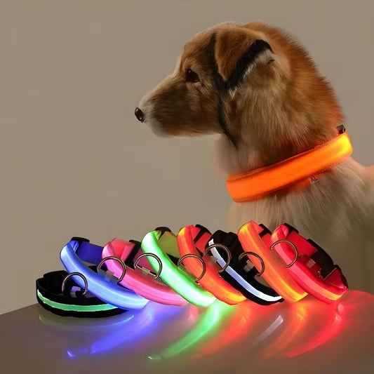 LED Glow Dog Collar – Flashing, Safe & Stylish