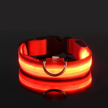 LED Glow Dog Collar – Flashing, Safe & Stylish
