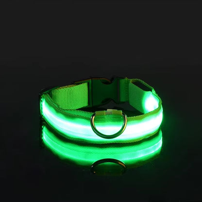 LED Glow Dog Collar – Flashing, Safe & Stylish