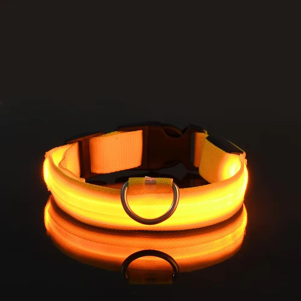 LED Glow Dog Collar – Flashing, Safe & Stylish