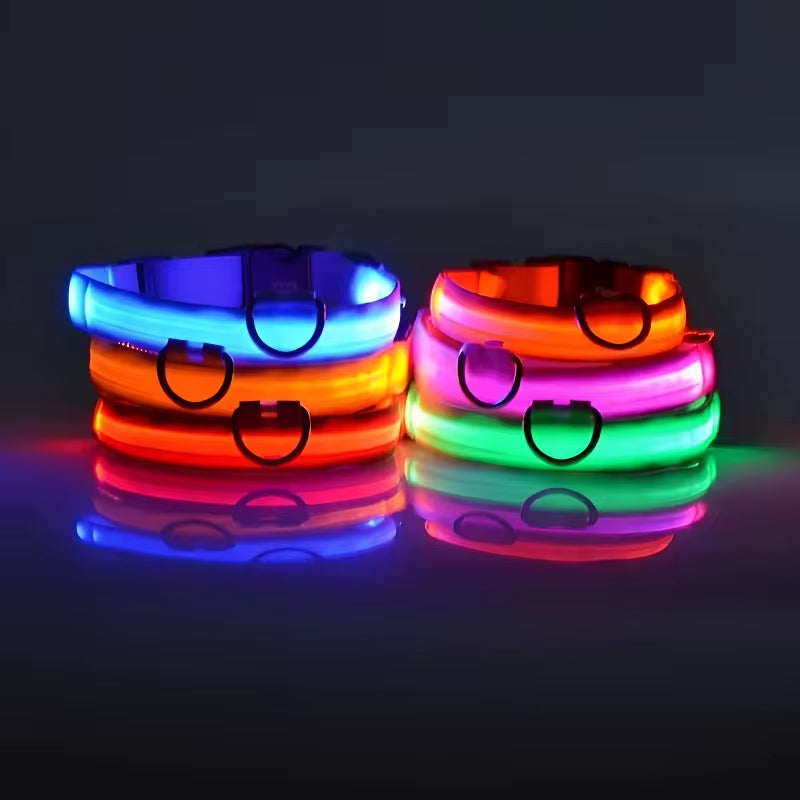 LED Glow Dog Collar – Flashing, Safe & Stylish
